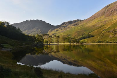 Buttermere Pines and Haystacks.