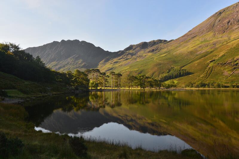 Buttermere Pines and Haystacks.