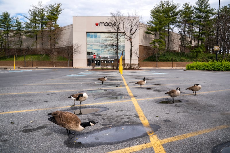 Parking spaces aplenty outside the abandoned Lakeforest Mall in Gaithersburg, Maryland