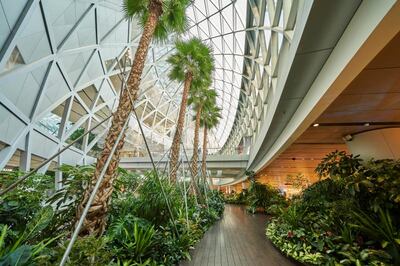 A tropical walkway at Singapore's Changi helps to capture the holiday mood. Photo: Changi Airport Group