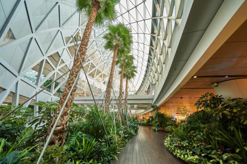 A tropical walkway at Singapore's Changi. Photo: Changi Airport Group
