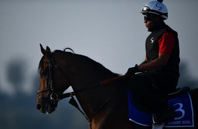 DUBAI, UNITED ARAB EMIRATES - MARCH 29: Economic Model during track work day prior to Dubai World Cup 2018 at the Meydan Racecourse on March 29, 2018 in Dubai, United Arab Emirates.  (Photo by Tom Dulat/Getty Images)