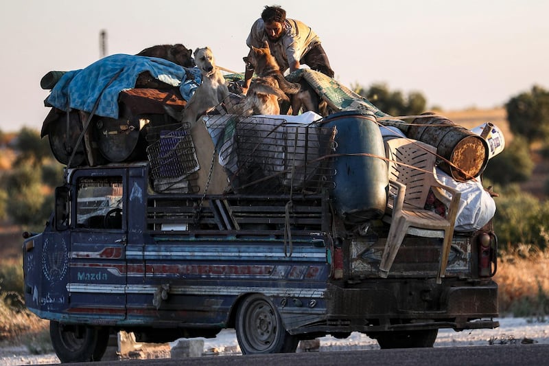A man secures furniture in the back of a pickup truck as his dogs sit atop, before fleeing from Maar Hitat in northern Idlib province. AFP