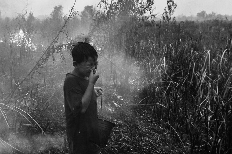 Long-Term Project winner, South-East Asia and Oceania: 'Haze' by Abriansyah Liberto, Indonesia.