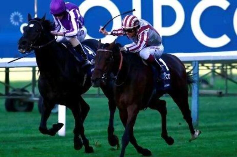 Cirrus Des Aigles, right, is expected to run at Meydan next month, but not in the Dubai World Cup race.