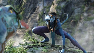 'Avatar won Best Cinematography with a 3D digital camera. No digital camera had ever won the Best Cinematography Oscar before,' James Cameron tells 'The National'. Photo: Twentieth Century Fox