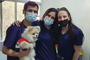 Holly pictured with the team from Modern Vet who performed surgery on her in Dubai. Courtesy: Modern Vet