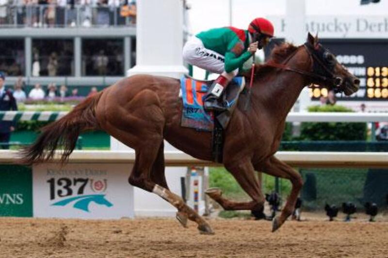 Animal Kingdom, seen here winning the Kentucky Derby last year, will have the opportunity to compete at the Dubai World Cup.