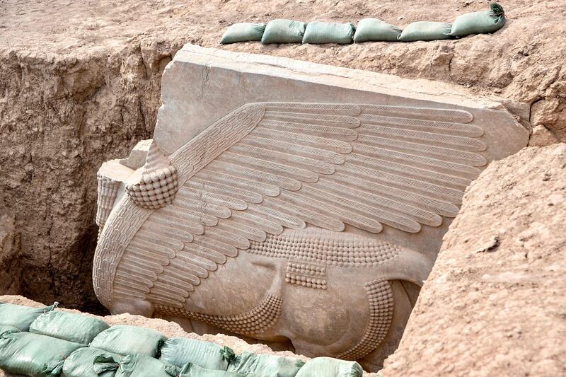 The unearthed Assyrian lamassu sculpture discovered at the archaeological site of Khorsabad in Iraq's northern Nineveh province. AFP