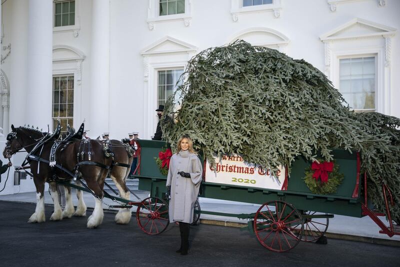 U.S. First Lady Melania Trump stands in front of the White House Christmas Tree at the North Portico of the White House in Washington, D.C., U.S., on Monday, Nov. 23, 2020. Oregon residents Dan and Anne Taylor of West's Tree Farm presented the Christmas Tree and the tree will be displayed in the White House Blue Room. Photographer: Sarah Silbiger/Bloomberg