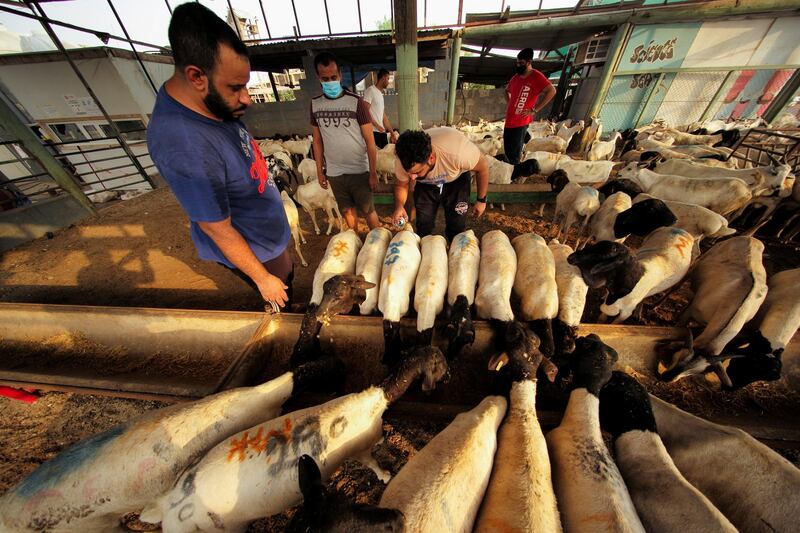 A customer wearing a face mask is seen standing at a livestock farm  in Manama, Bahrain. REUTERS