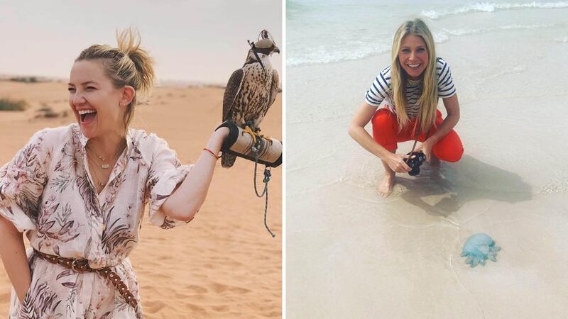 Left: Kate Hudson with a falcon in the Dubai desert. Right: Gwyneth Paltrow on the beach with a jellyfish. Instagram 