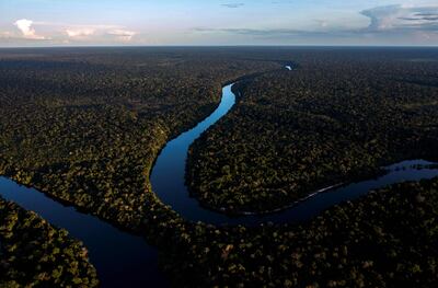 A drone view of the Manicore river, deep inside Amazon forest in Brazil. The new fund under discussion with China would be used to recover forests. AFP