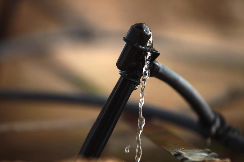 United Arab Emirates - Abu Dhabi - April 28th, 2010:  Irrigation tubes provide vital water to plants at Al Ain Wildlife Park.  (Galen Clarke/The National)