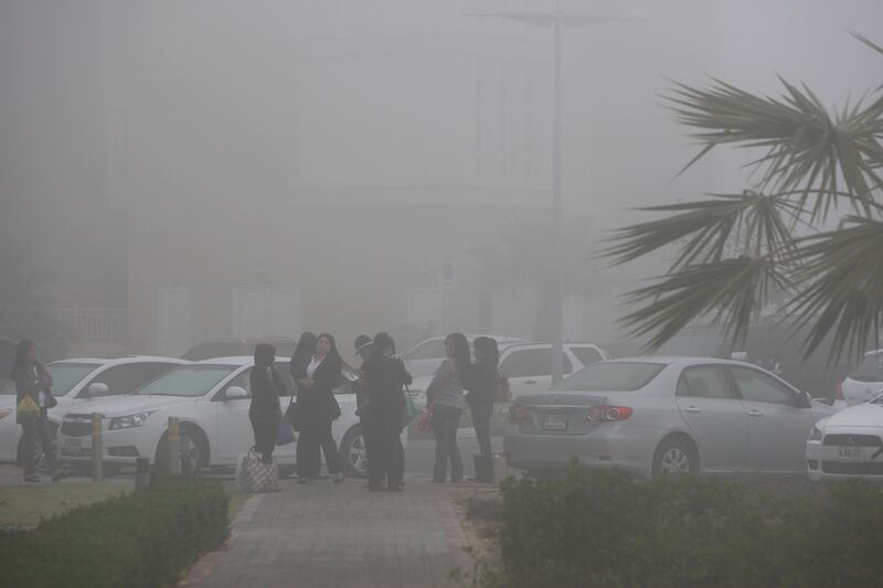 DUBAI , UNITED ARAB EMIRATES Ð Jan 22 : Fog during the early morning at Discovery Garden area in Dubai. ( Pawan Singh / The National ) For News.
