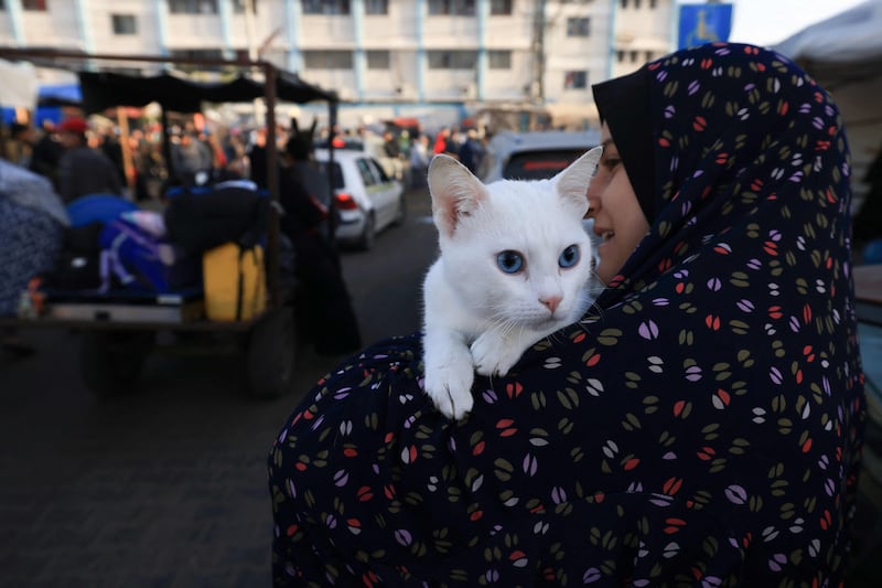 A woman and her cat return home to eastern Khan Younis in the southern Gaza Strip during the first hours of a four-day truce between Israel and Hamas forces on November 24, 2023. AFP