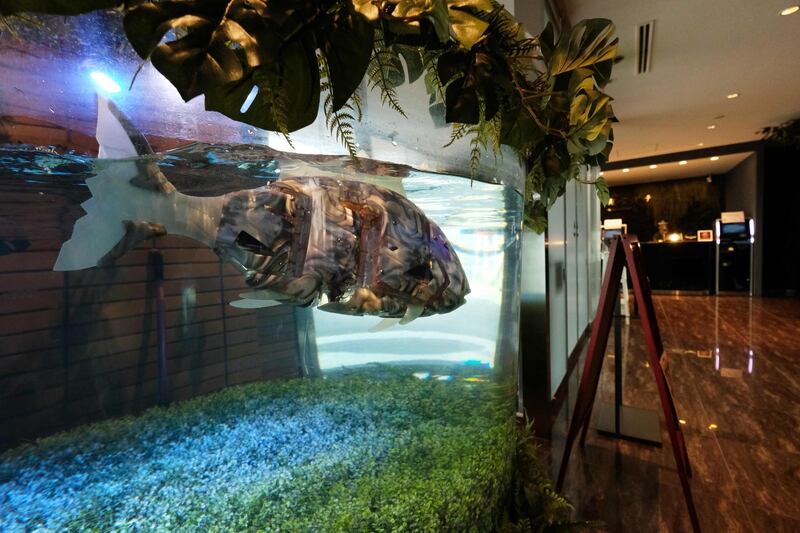 A robot fish swims in a water tank displayed at the entrance of the Henn-na Hotel.  AFP