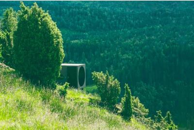 The Birdbox treehouse is in the heart of the forest. Courtesy Airbnb