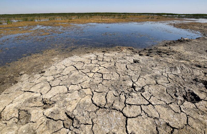 Drying earth in the Chibayesh marshland in Iraq's southern Ahwar area. AFP