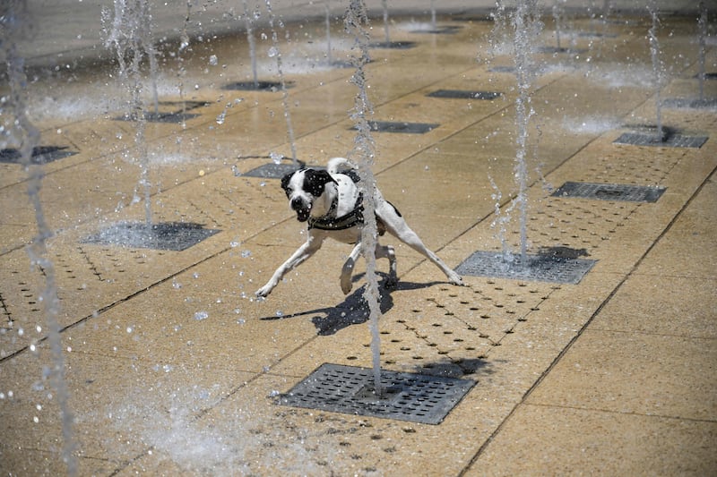 A dog plays at a water fountain in the Monumento a la Revolucion square during a heat wave in Mexico City. AFP