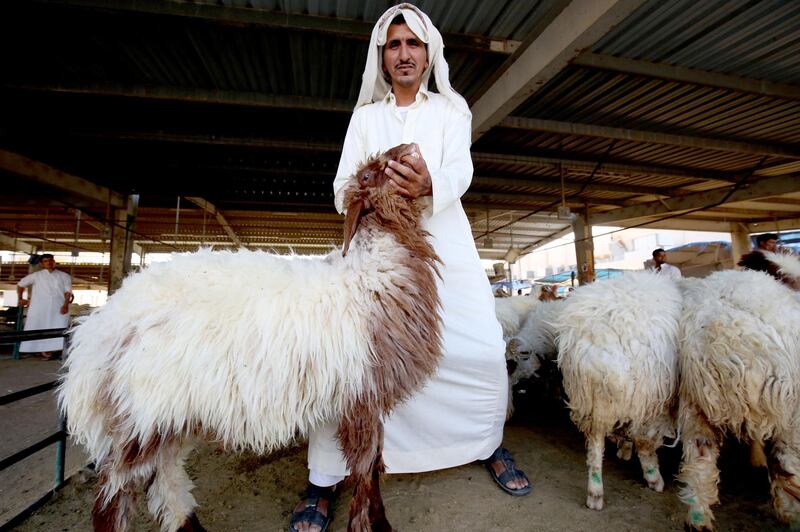 A vendor waits for customers at a livestock market in Kuwait City on August 5, 2019, ahead of the Muslim holiday of Eid al-Adha or the "Feast of Sacrifice" which marks the end of the annual pilgrimage or Hajj to the Saudi holy city of Mecca and is celebrated in remembrance of Abraham's readiness to sacrifice his son to God. Known as the "big" festival, Eid Al-Adha is celebrated each year by Muslims sacrificing various animals according to religious traditions, including cows, camels, goats and sheep. / AFP / Yasser Al-Zayyat
