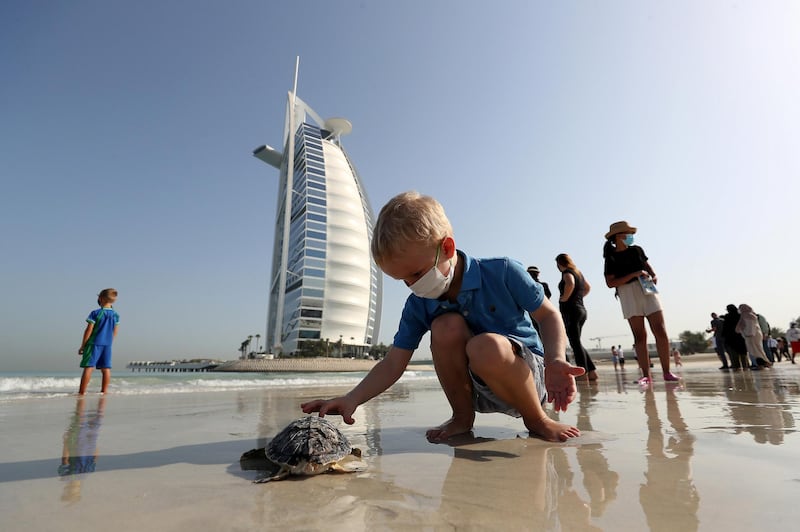 Around 30 turtles released into the sea on World Sea Turtle Day at the Jumeirah Al Naseem beach in Dubai on June 16,2021. Pawan Singh / The National. 