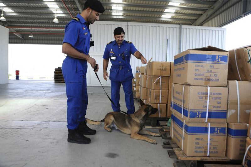 Dubai Customs inspectors using a special canine unit search for drugs in Jebel Ali Port earlier this month. Sarah Dea / The National / Jun 2104

