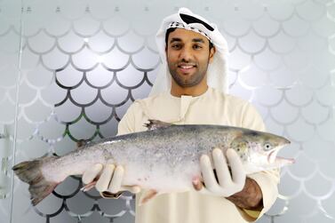 Bader Bin Mubarak, the chief executive of Fish Farm: ‘We’ve made salmon in the desert – it’s pretty remarkable.’ Pawan Singh / The National