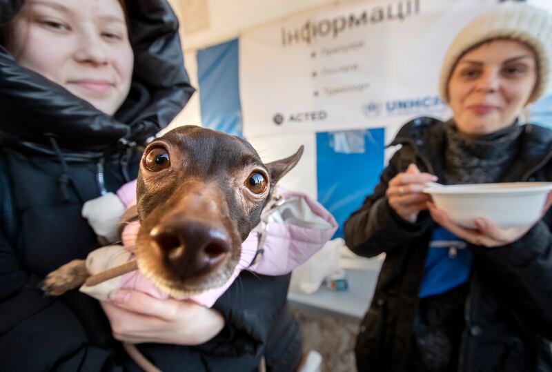 A Ukrainian refugee and her dog arrive at a reception centre in Palanca Village, near the Moldovan border. More than 3 million people have been forced to flee Ukraine over the past three weeks. EPA