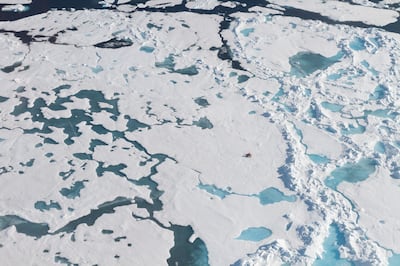epa07774597 An undated handout photo made available by the Alfred Wegener Institut (AWI), Helmholtz Centre for Polar and Marine Research, on 15 August 2019 shows an aerial view of sea ice as AWI scientists (C) collect snow samples in the Arctic. Scientists at Germany's Alfred Wegener Institute announced on 14 Augsut 2019 that even in remote regions such as the Arctic and the Alps the snow is polluted with microplastics (MPs); with varnish, rubber, polyethylene, and polyamide particles dominating overall, indicating significant contamination of the atmosphere. Experts believe that microplastic, defined as particles below 5mm in size, is blown about by winds and transported long distances through the atmosphere and snow to the Arctic sea. Researchers collected snow samples from the Arctic (Svalbard) and in populated (Heligoland, Bremen and Bavaria in Germany) and remote (Tschuggen and Davos in Switzerland) European sites.  EPA/KAJETAN DEJA/ALFRED WEGENER INSTITUT HANDOUT  HANDOUT EDITORIAL USE ONLY/NO SALES