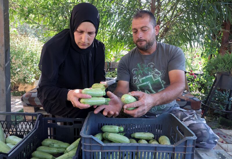 Lebanese couple Qassem and Khadija Shreim turn to agriculture to try and keep their family afloat amid the country's deteriorating financial situation. All photos: Reuters