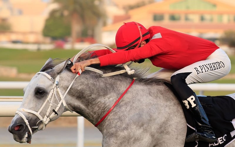 Bernardo Pinheiro rides Sharkh to victory in the first of his two winners at Abu Dhabi on Sunday, March 20, 2022. - DHRIC