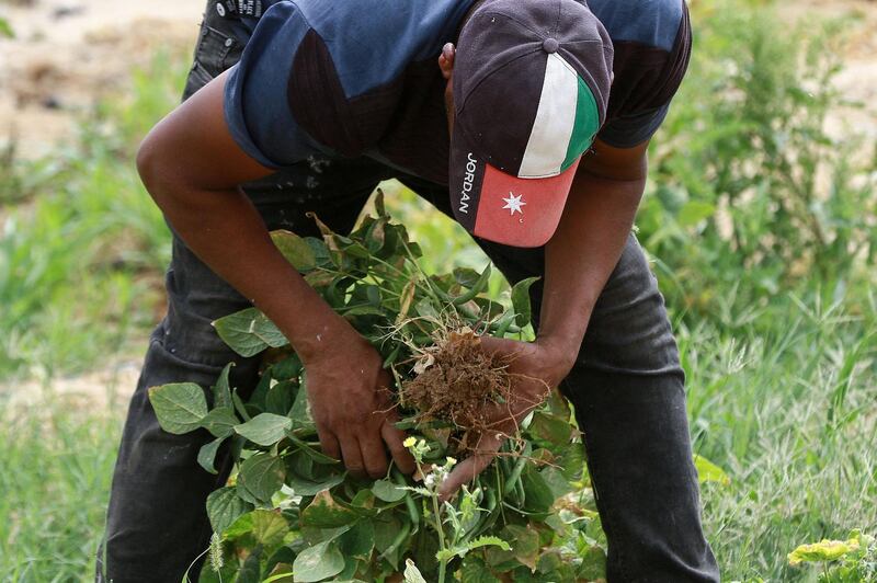 The financial losses have been huge as people are unable to sell any of their produce. AFP