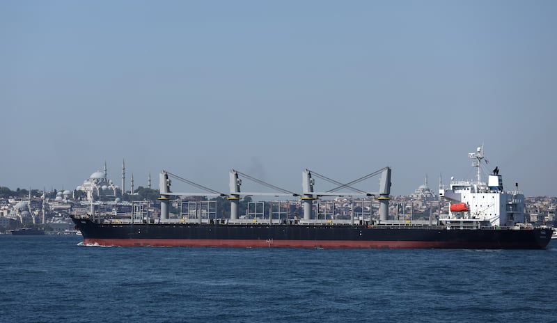 The Liberian-flagged bulk carrier Primus on the Bosphorus in Istanbul. EPA