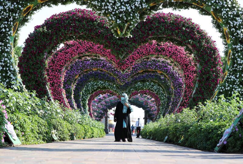 Dubai, United Arab Emirates - Reporter: N/A. Lifestyle. Opening of the new season at the Dubai Miracle Garden. Sunday, November 1st, 2020. Dubai. Chris Whiteoak / The National