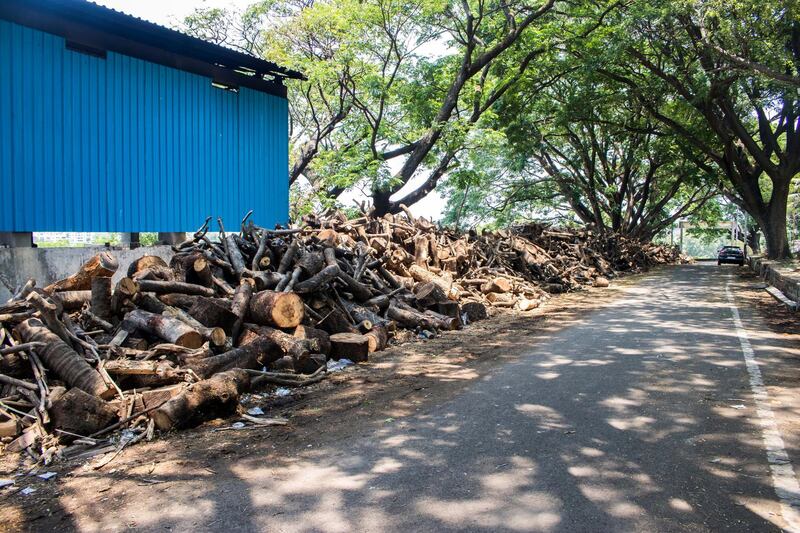 Tons of wood lying outside a crematorium in Kolhapur. Often Jitendra helps the officials lift the bodies of COVID patients when no one comes to help. Sanket Jain for The National