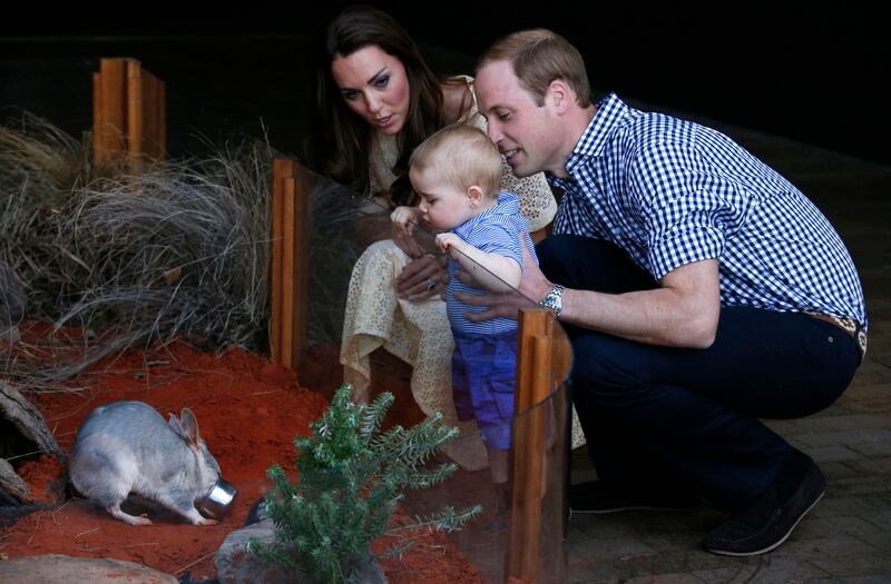 Prince George looks at an Australian animal called a Bilby, which has been named after the young prince, during a visit to Sydney's Taronga Zoo during a tour of Australia in 2014. Getty Images