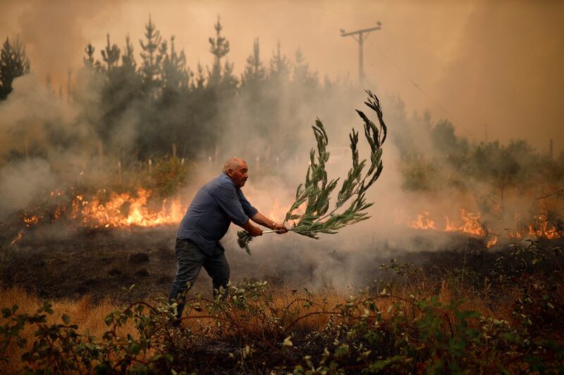 Rudimentary methods are used in an attempt to put out a wildfire in Santa Juana, Chile. EPA 