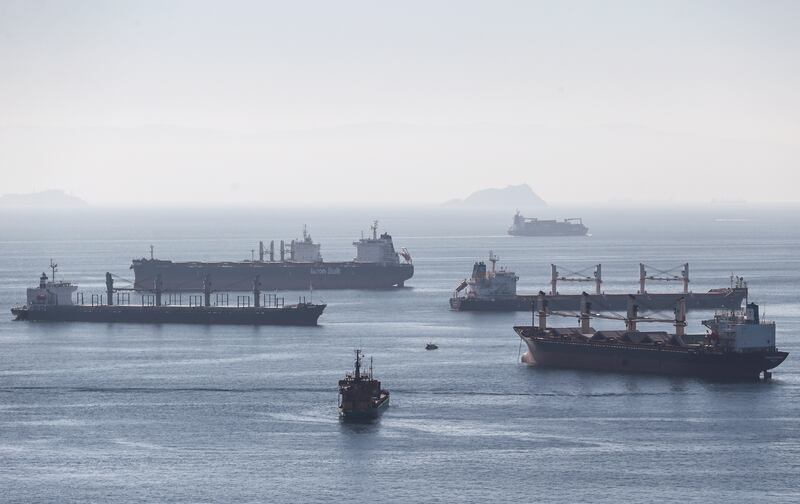 Cargo ships carrying grain from Ukraine are anchored as they wait in line for the inspection on the Marmara sea off Istanbul. EPA