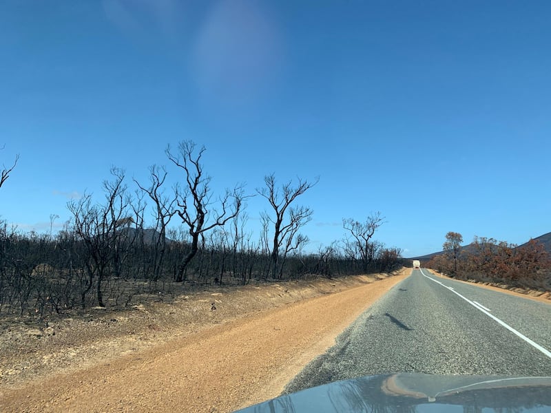 The aftermath of the 2019-2020 bushfires in the Stirling Ranges National Park, Western Australia. Louise Burke/The National