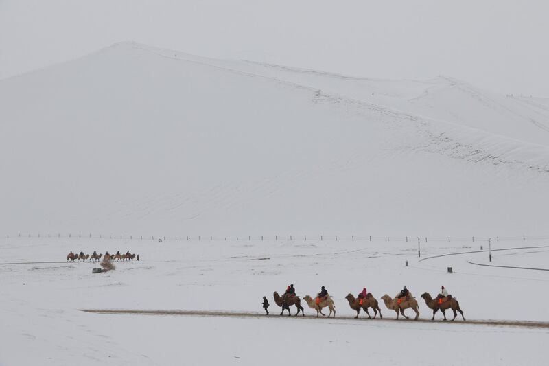 Tourists ride camels as they visit the snow-covered desert at Mingsha Shan in Dunhuang, Gansu province, China. Reuters
