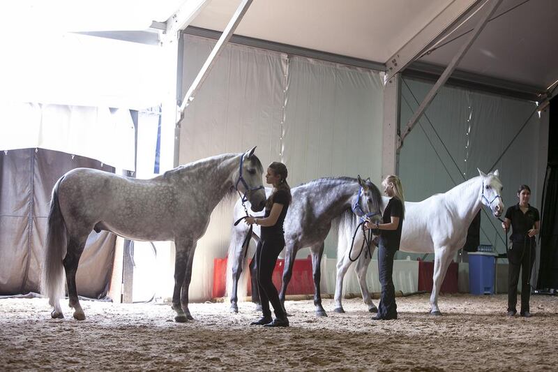 Some of the stars of Cavalia and their riders in the specially built stables at Qasr Al Hosn in Abu Dhabi. Silvia Razgova / The National