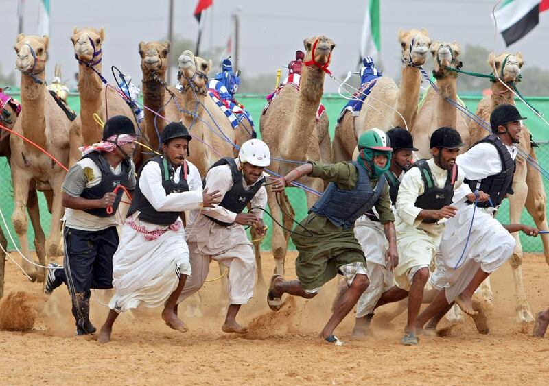 Camel races are held over distances of 1, 3 and 5 kilometres, with animals beginning their racing careers when they are a year old. Jaime Puebla / The National
