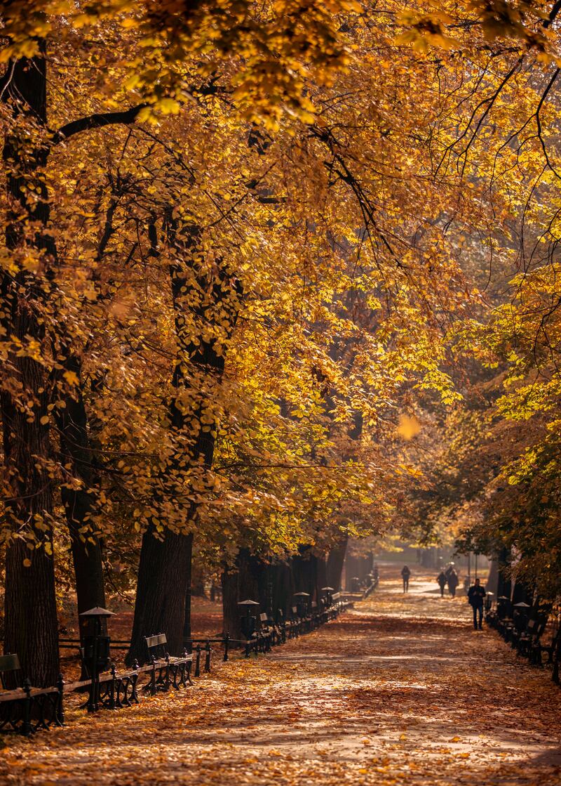 Planty Park is one of the largest city parks in Krakow. Courtesy flydubai