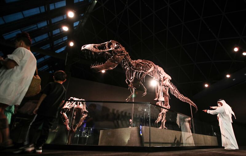 A Tyrannosaurus rex called Stan — the most expensive fossil to be sold at auction — is on display at Manarat Al Saadiyat. EPA