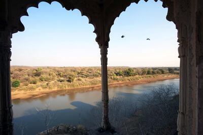 Palpur Fort overlooking the Kuno River, Kuno-Palpur Wildlife Sanctuary, Madhya Pradesh. Photo by Amar Grover