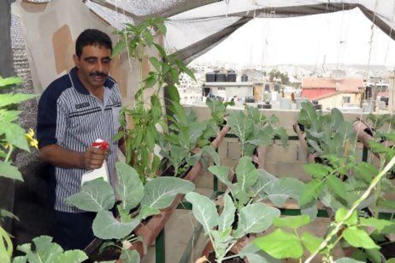 Khader Najjar waters his vegetables in his rooftop greenhouse on the roof of his four-storey building in the Dheisheh refugee camp. The vegetables help feed his and his brother’s families.
