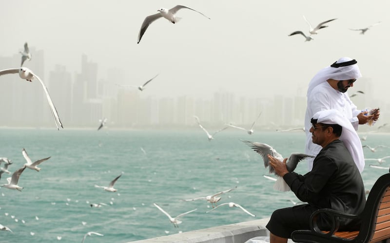 Abu Dhabi, United Arab Emirates - Local men catch hold of a seagull along the Abu Dhabi Corniche. Khushnum Bhandari for The National