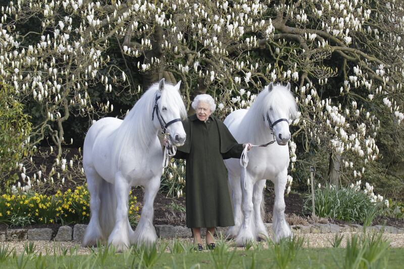 To mark her 96th birthday, Queen Elizabeth II poses with her Fell ponies, Bybeck Nightingale, right, and Bybeck Katie. Getty Images