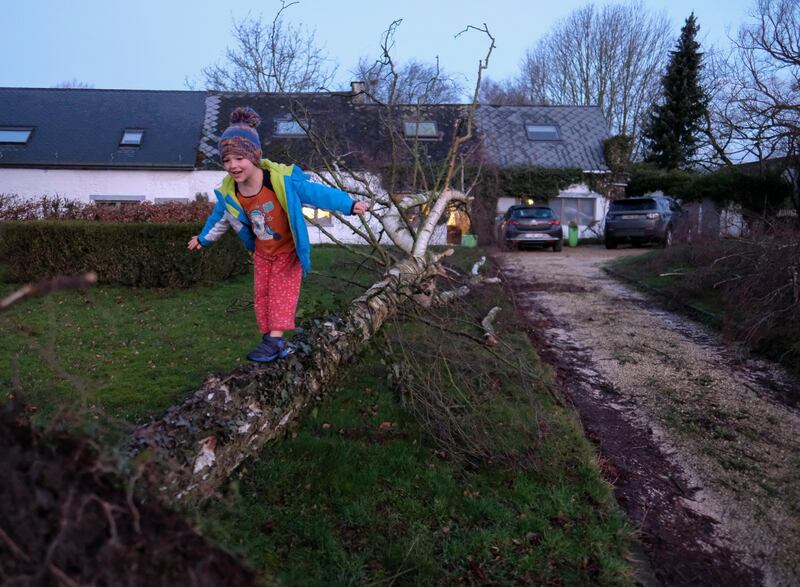 A child plays on a fallen tree after the passage of storm Ciara, in Namur, Belgium.  EPA